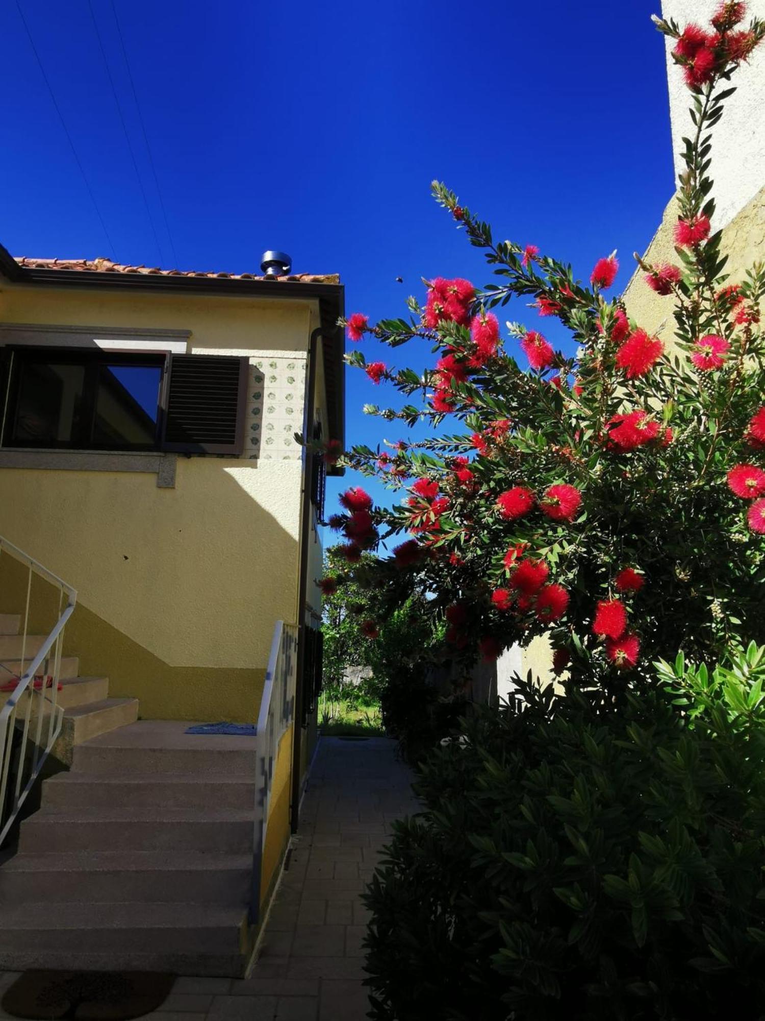 Casa Sao Pedro Belinho Only Pilgrims Bed & Breakfast ภายนอก รูปภาพ